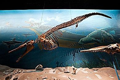 从绝望废墟迈向最后的希望 《ANNIE: Last Hope》PS5 实体版11月27日发售！